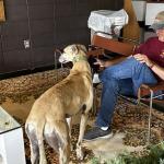 2023OTRA_456 (May 04, 2023)